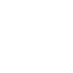 Triệu Hồi